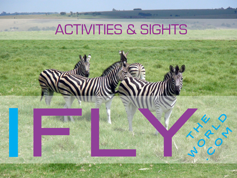Activities